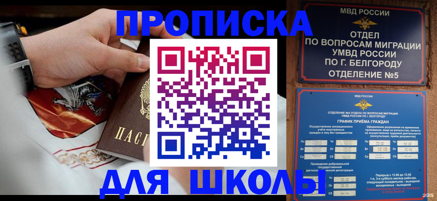 пропишу в квартире в Видном